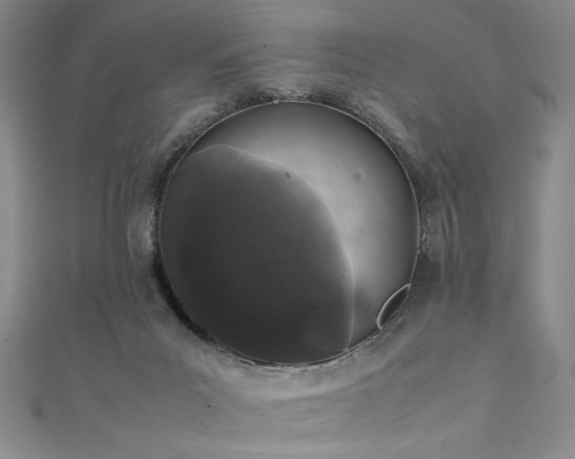 X0000111880023200907231544