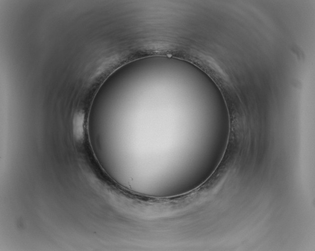 X0000111880024200907231544