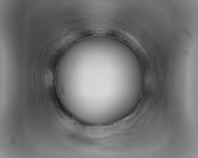 X0000111880025200907231544
