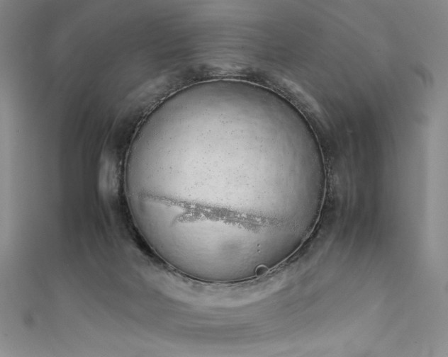 X0000111880026200907231544