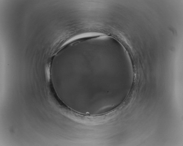 X0000111880027200907231544