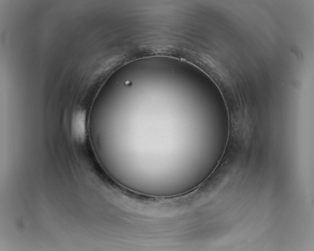 X0000111880028200907231544