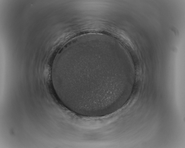 X0000111880029200907231544