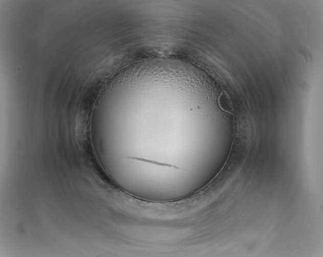 X0000111880030200907231544