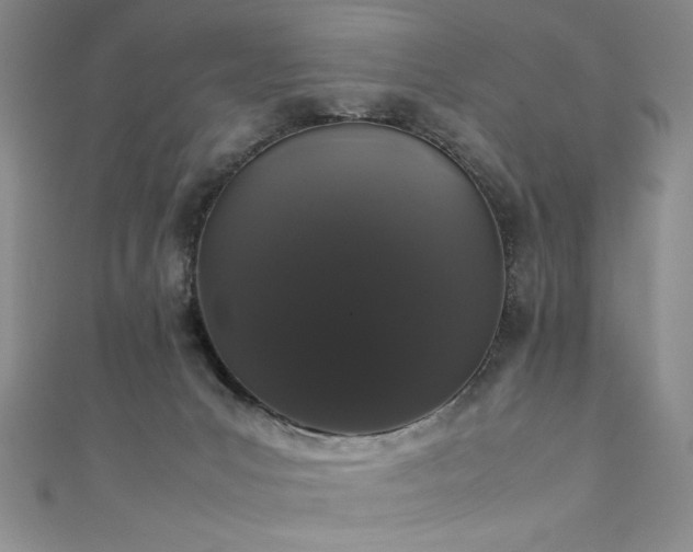 X0000111880031200907231544