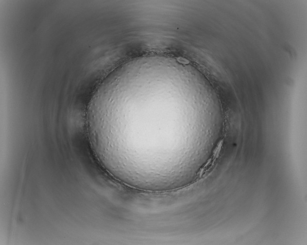 X0000111880033200907231544