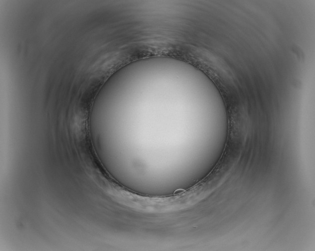 X0000111880034200907231544