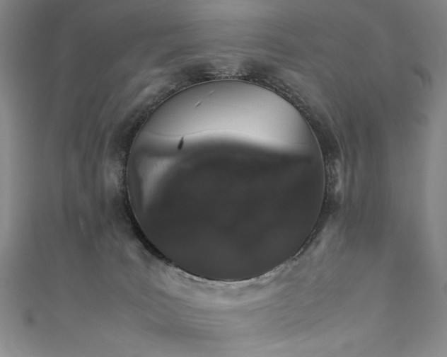 X0000111880035200907231544