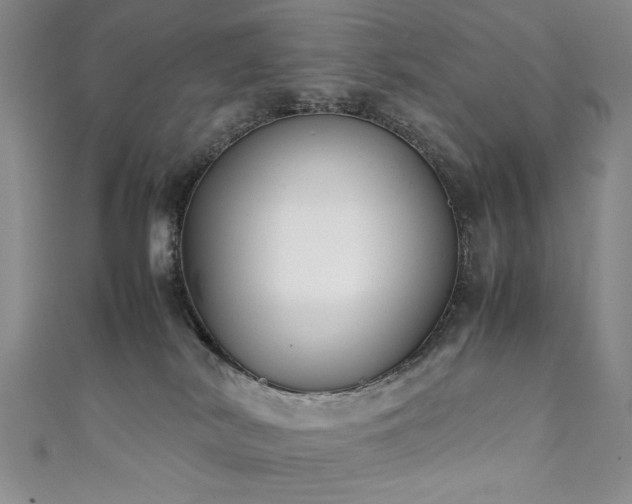 X0000111880038200907231544
