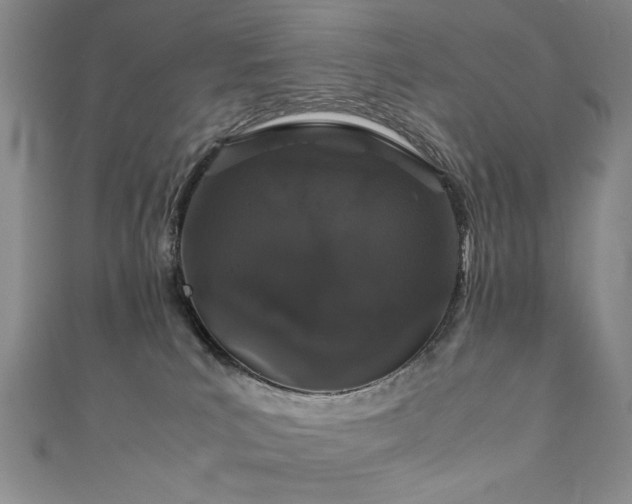 X0000111880039200907231544