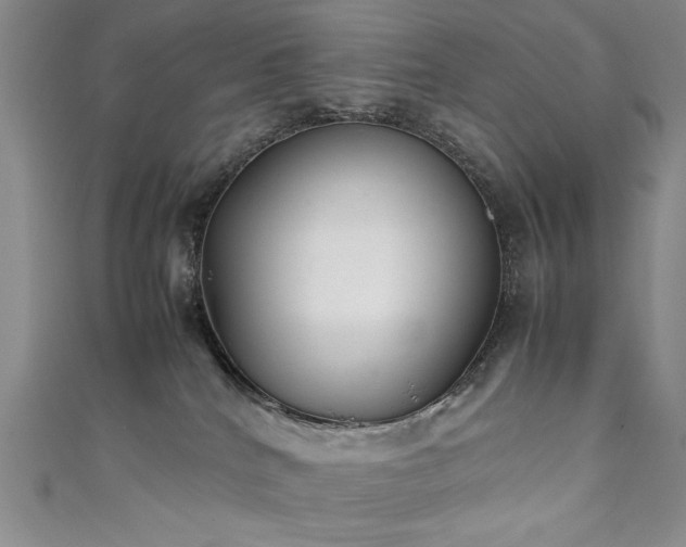 X0000111880040200907231544