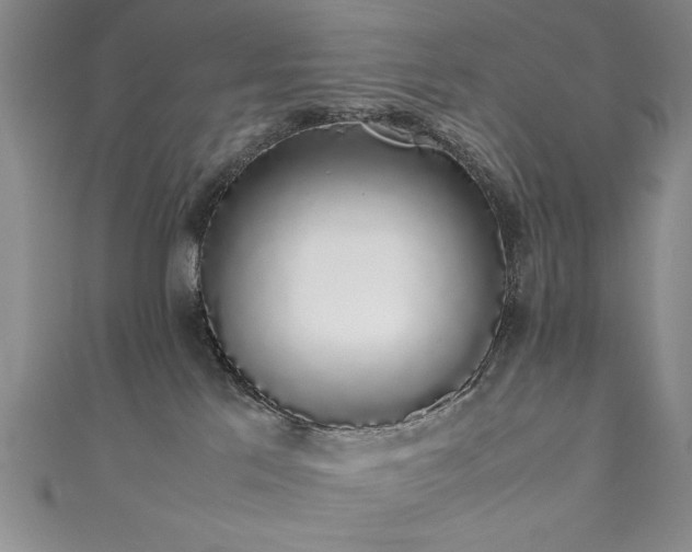 X0000111880041200907231544