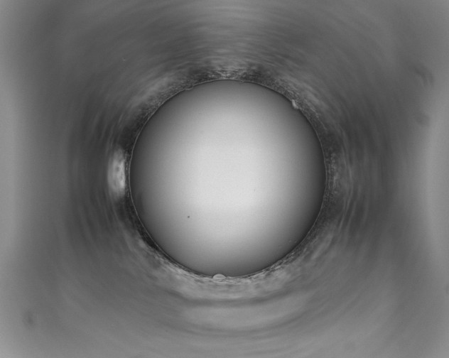X0000111880042200907231544