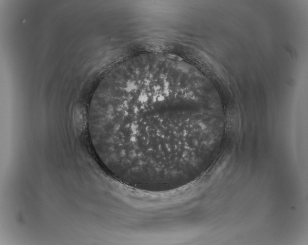 X0000111880043200907231544