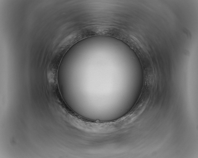 X0000111880044200907231544