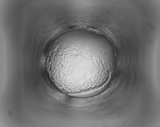 X0000111880045200907231544