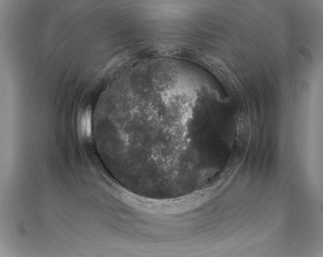 X0000111880046200907231544