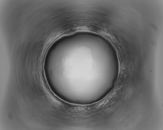 X0000111880049200907231543