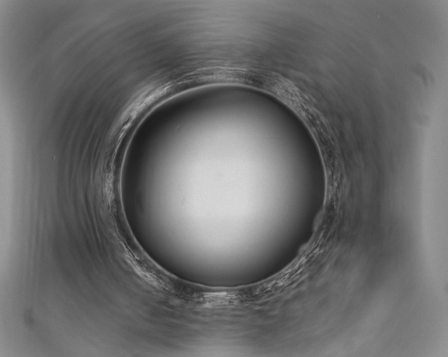 X0000111880050200907231543