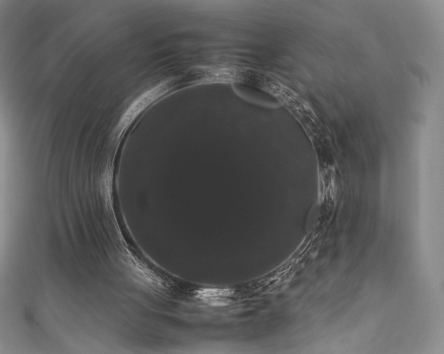 X0000111880051200907231543