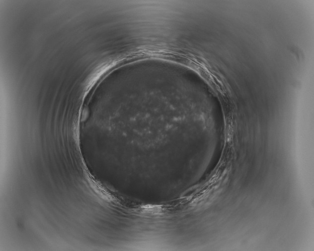 X0000111880052200907231543