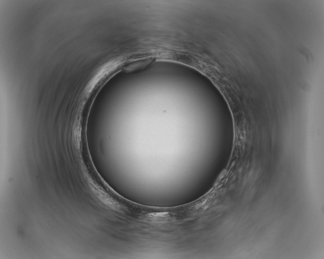 X0000111880054200907231543