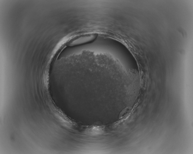 X0000111880056200907231543