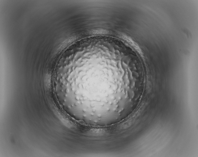 X0000111880057200907231543