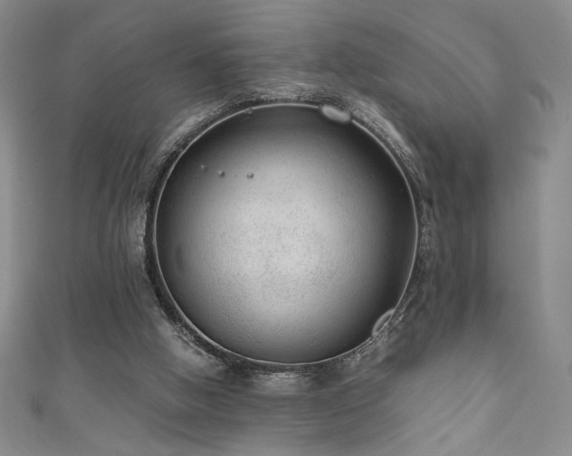 X0000111880058200907231543