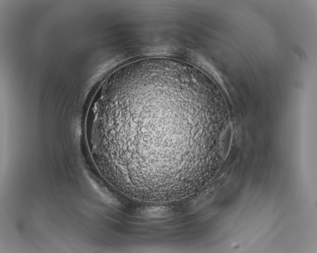 X0000111880059200907231543