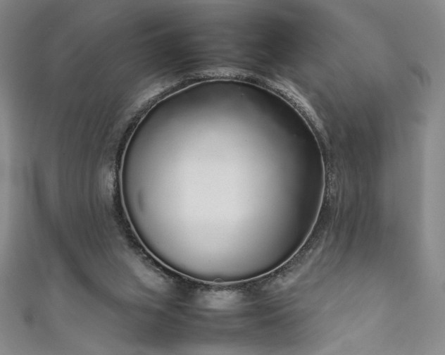 X0000111880063200907231543
