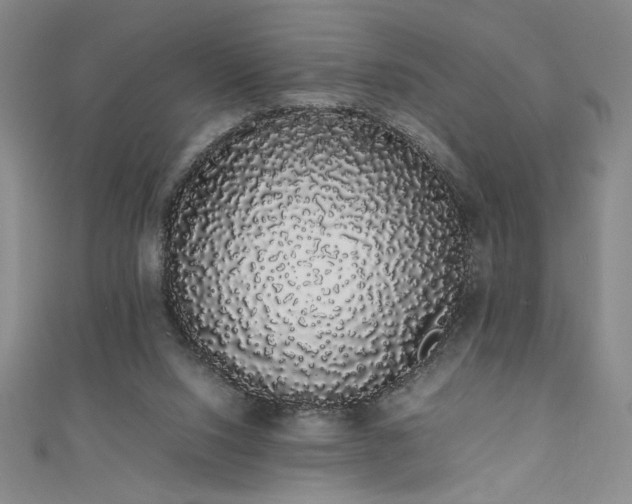 X0000111880064200907231543