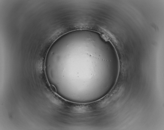 X0000111880065200907231544