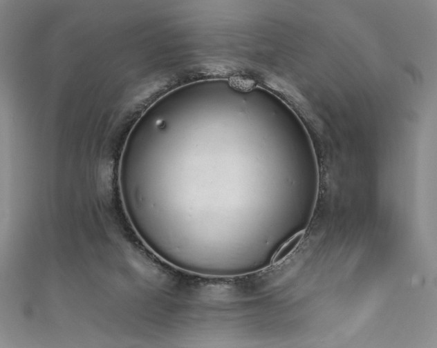 X0000111880066200907231544