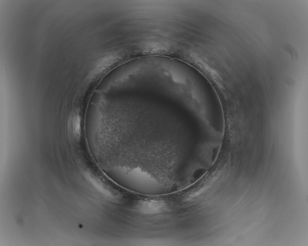 X0000111880067200907231544