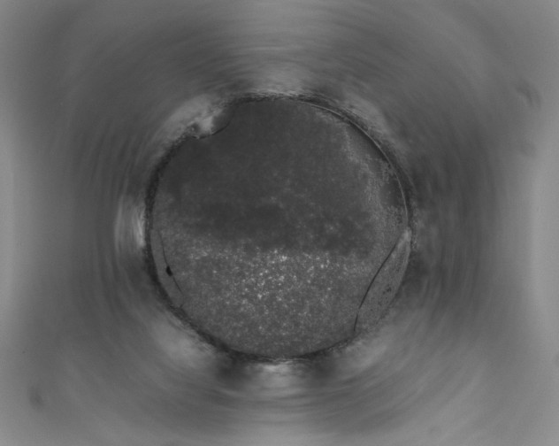 X0000111880068200907231544
