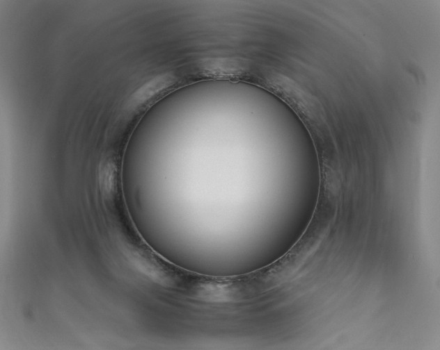 X0000111880071200907231544
