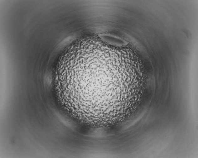 X0000111880072200907231544