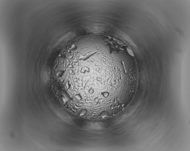 X0000111880073200907231544