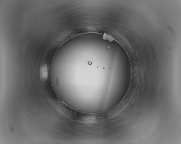 X0000111880075200907231544