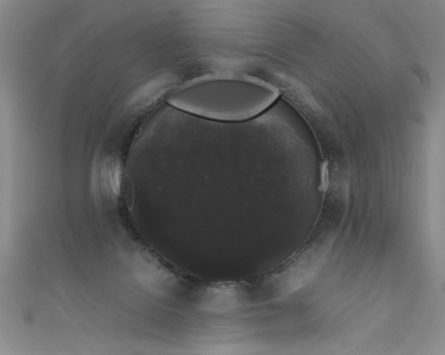 X0000111880076200907231544