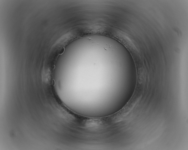 X0000111880077200907231544