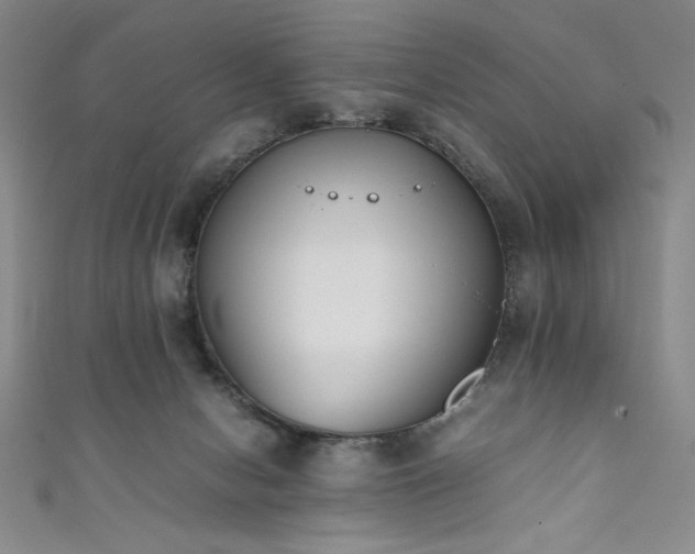 X0000111880078200907231544