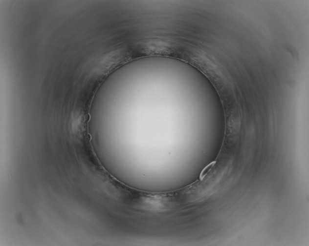 X0000111880079200907231544