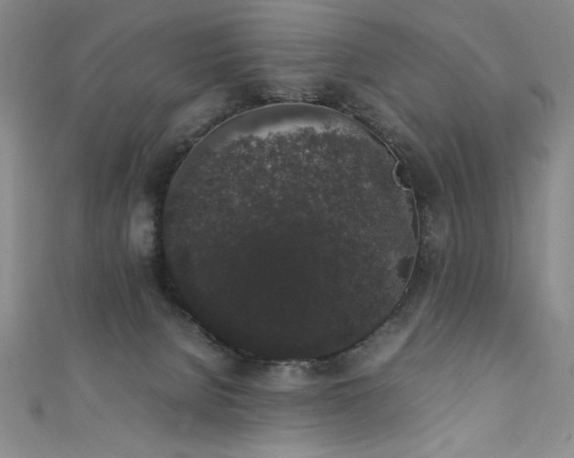 X0000111880080200907231544