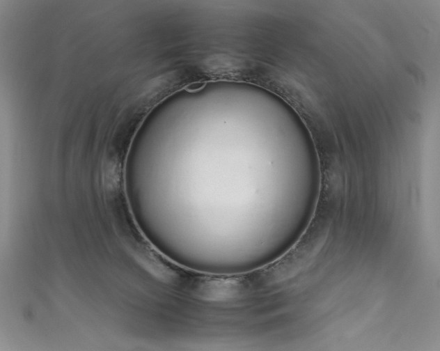 X0000111880081200907231544