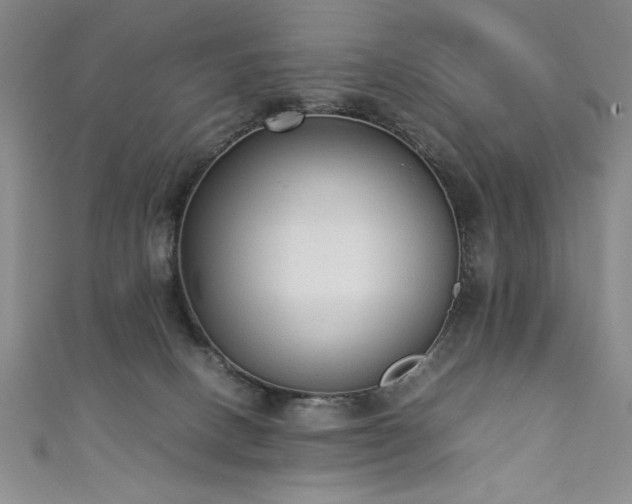 X0000111880082200907231544
