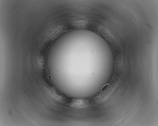 X0000111880083200907231544