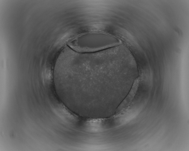 X0000111880084200907231544