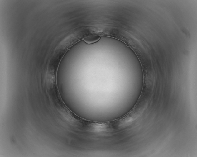 X0000111880085200907231544